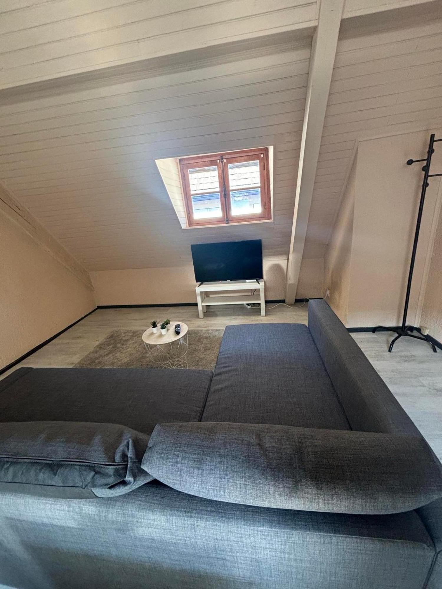 Apartament Le Merveilleux Soultz-Haut-Rhin Zewnętrze zdjęcie